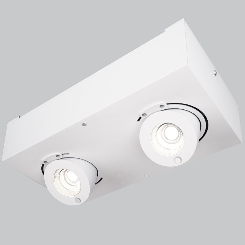 Bridge Ceiling Light by Zaneen Shop - A rectangle shape white colored light fixture, featuring two square swivel-heads.
